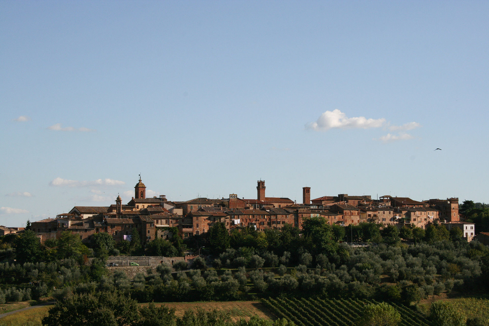 Torrita di Siena